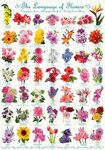 Пазл "Язык цветов" из 280 элементов Собрать онлайн пазл № 66